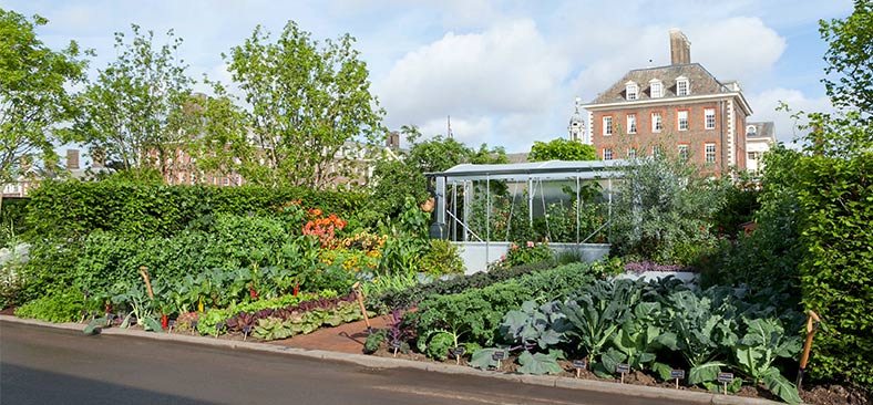 Garden behind private residence
